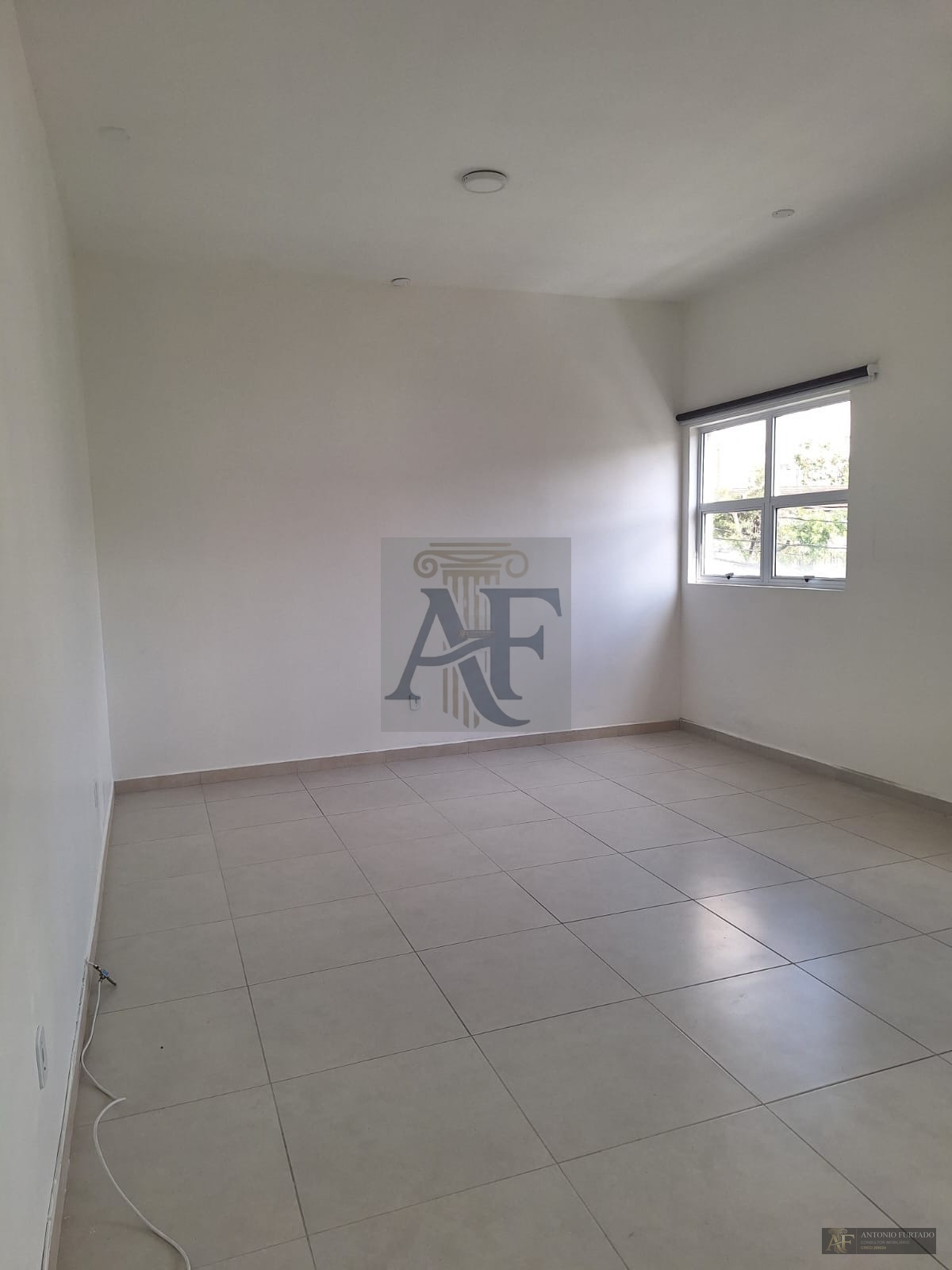 Comercial em Alto da Mooca